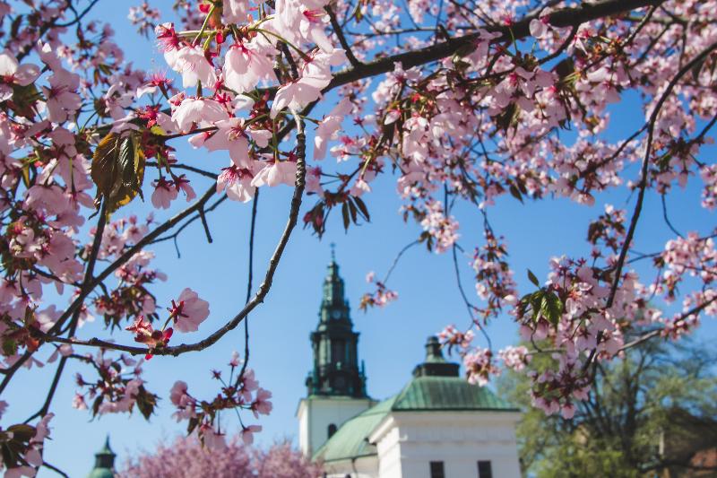 Elite Stora Hotellet Linköping