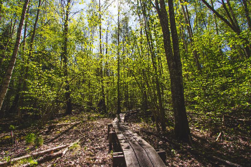 Elite Stora Hotellet Linköping