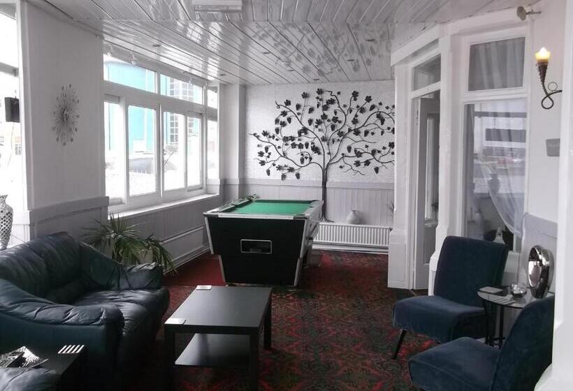 בית מלון כפרי Elmfield