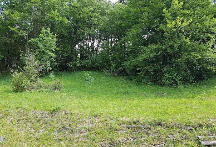 هتل Gasperin Bohinj