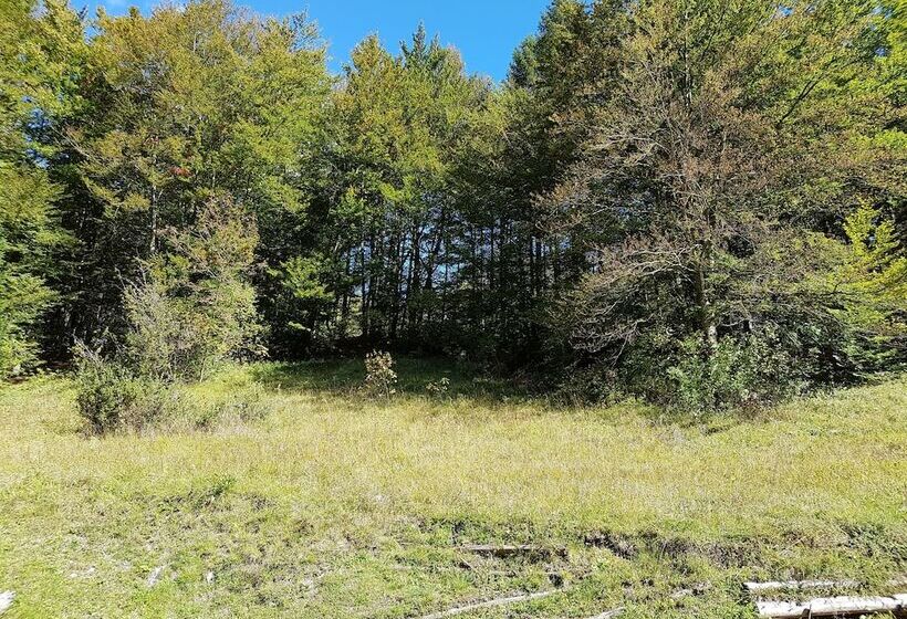 هتل Gasperin Bohinj