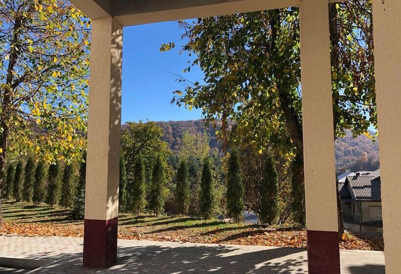 בית מלון כפרי Korona