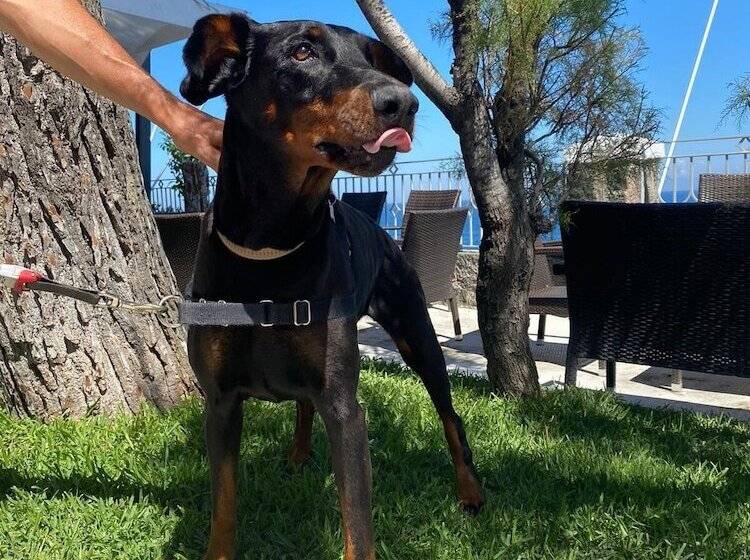 ホテル La Madonnina