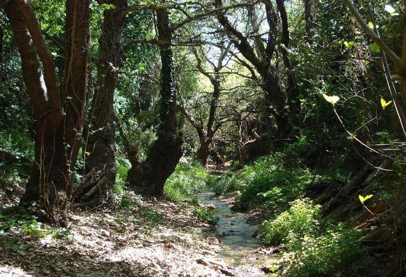 酒店 Liotrivi Historical Mansion & Boutique