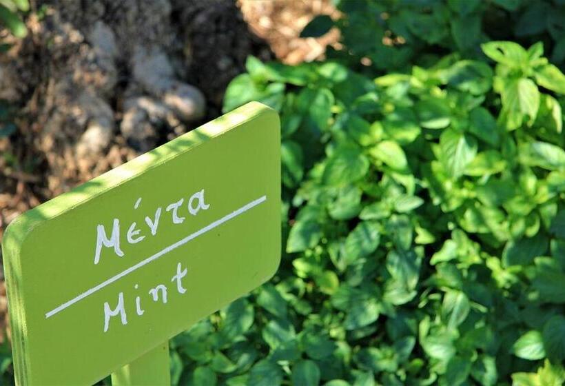 酒店 Liotrivi Historical Mansion & Boutique