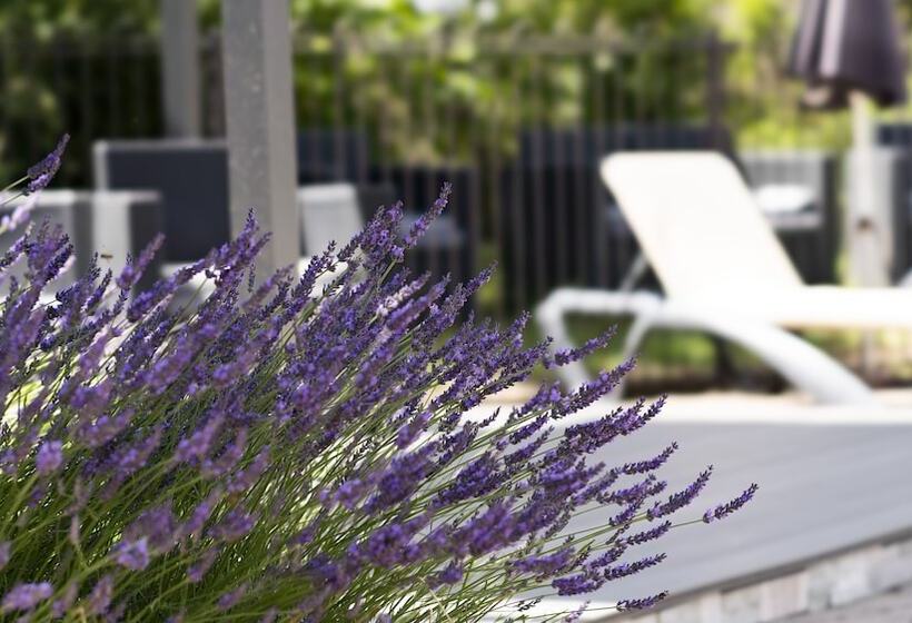 Logis Hotel Restaurant Spa Les Oliviers