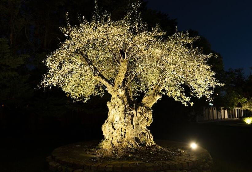 Logis Hotel Restaurant Spa Les Oliviers