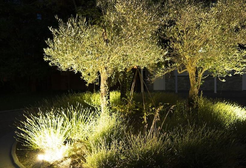 Logis Hotel Restaurant Spa Les Oliviers