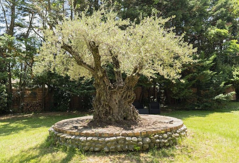 Logis Hotel Restaurant Spa Les Oliviers