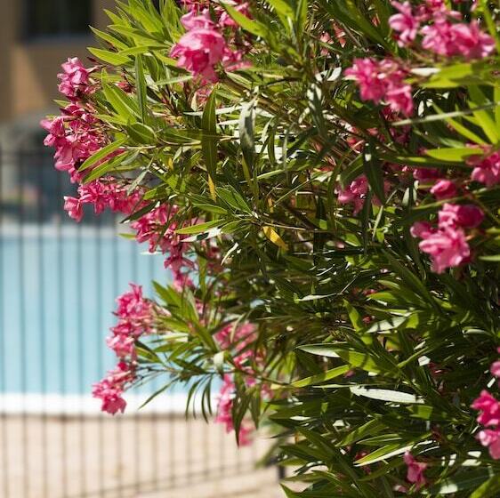 Logis Hotel Restaurant Spa Les Oliviers