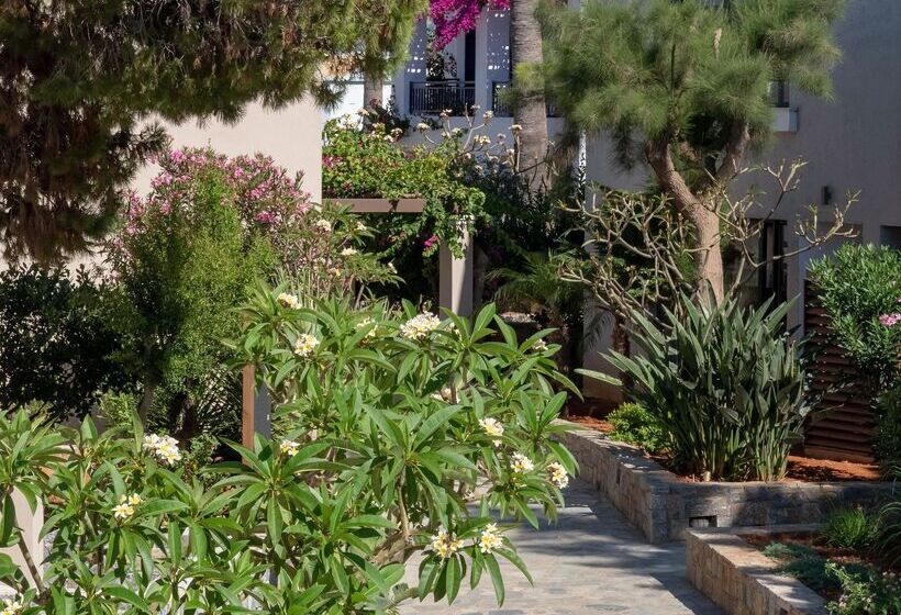 酒店 Nana Golden Beach   All Inclusive