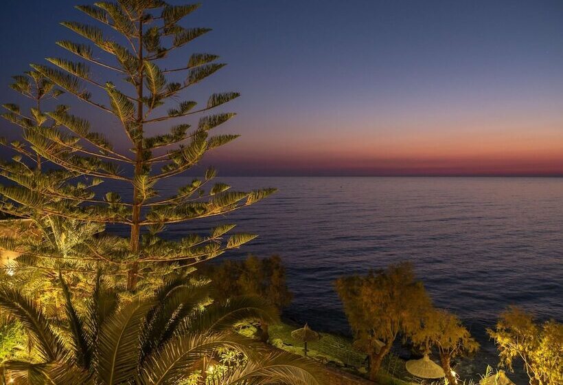 酒店 Nana Golden Beach   All Inclusive