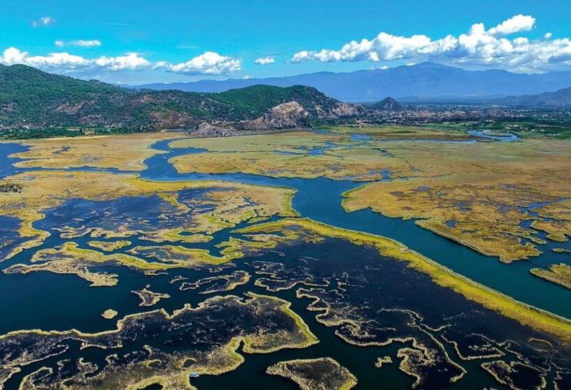 Отель Palme Dalyan