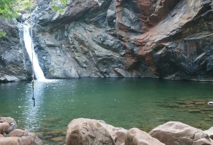 Отель Palme Dalyan