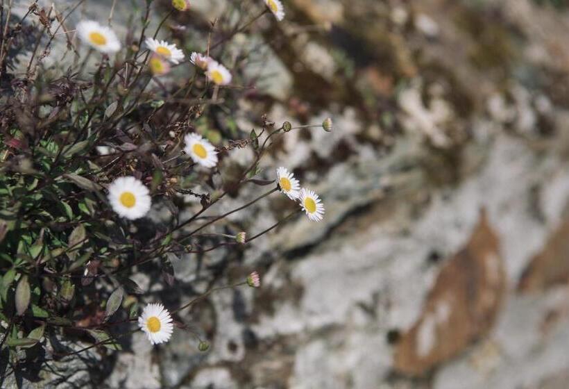 ホテル The Sandy Duck