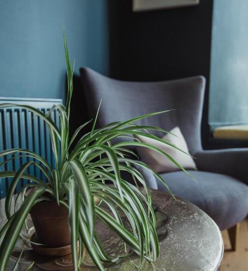 ホテル The Sandy Duck