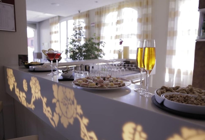 酒店 Virginia Palace