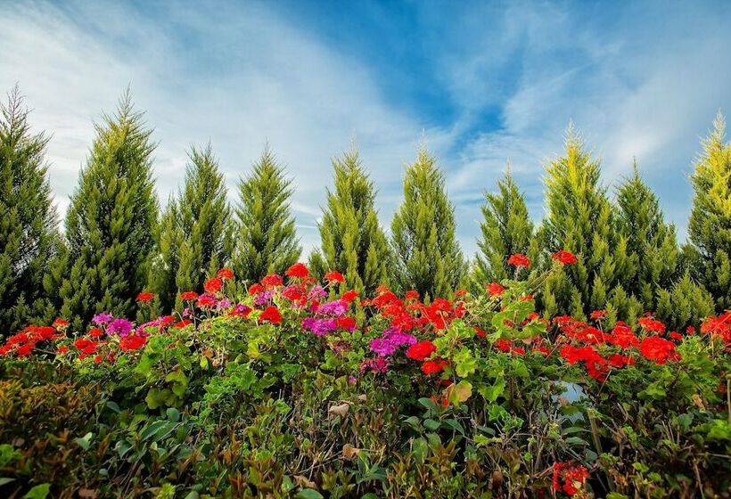 فندق Xenios Port Marina