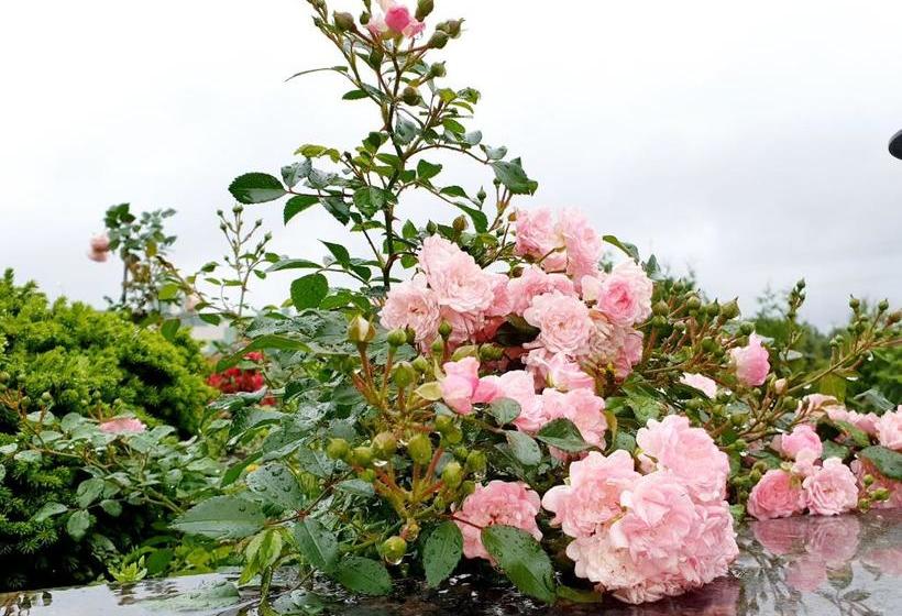 Отель Yaroslavskoe Podvorye