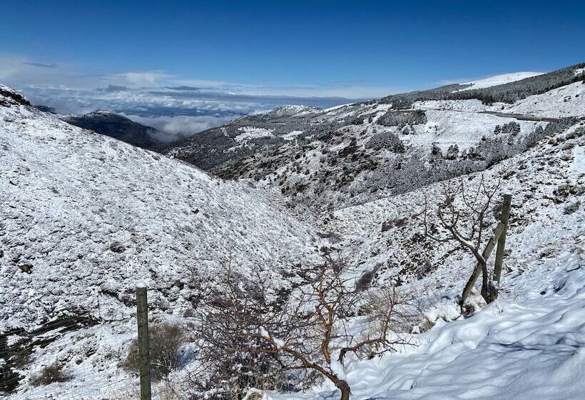 Inside Plaza Sierra Nevada