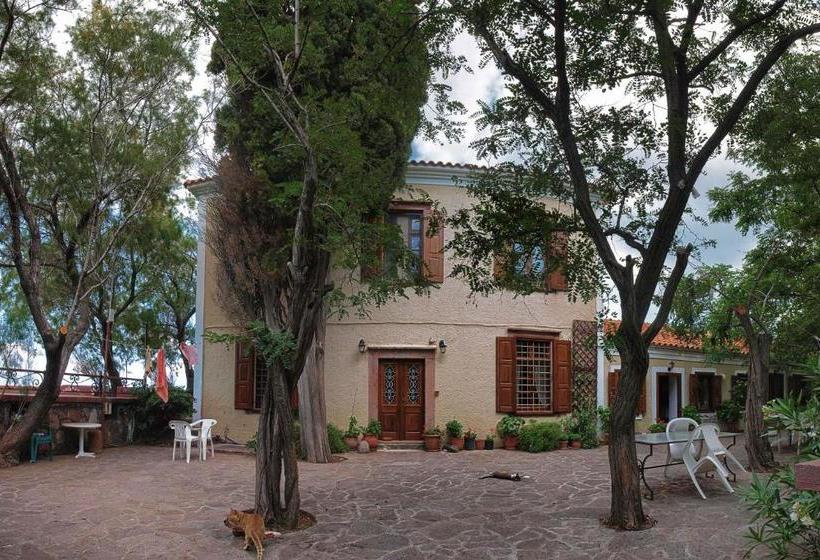 Lela Kaptani Eftalou Olive Grove