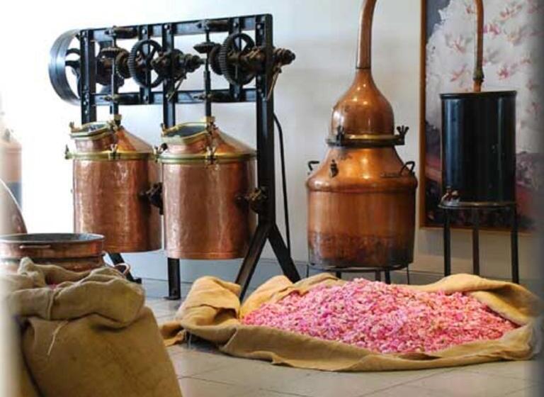 レジデンス Résidence Le Virginia By Popinns