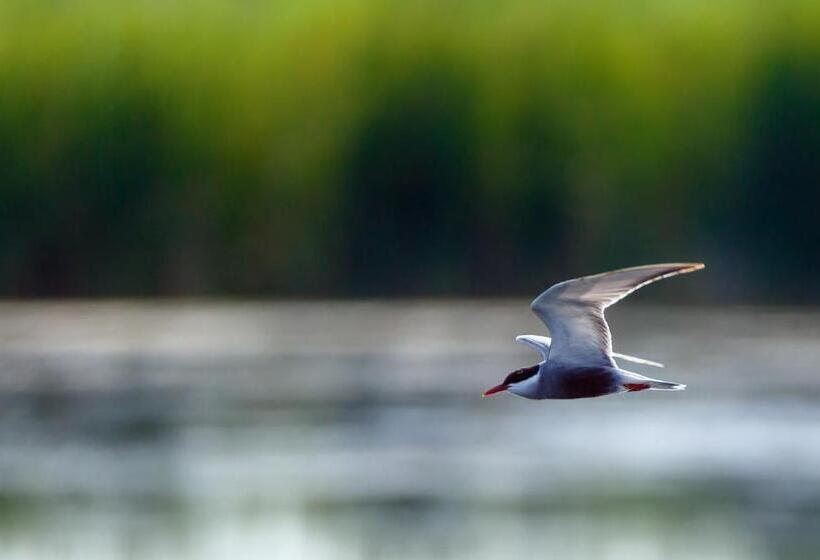 103 Boutique Hotel Stintino