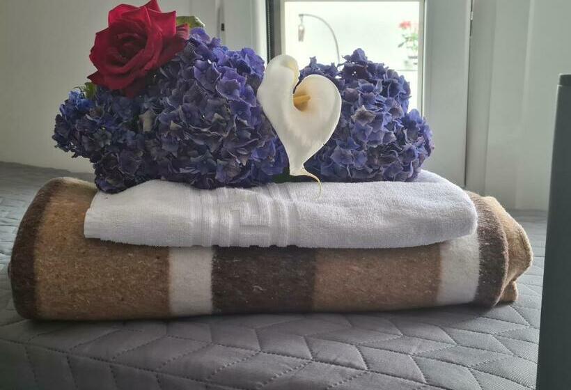 Albergue O Marco Hostel