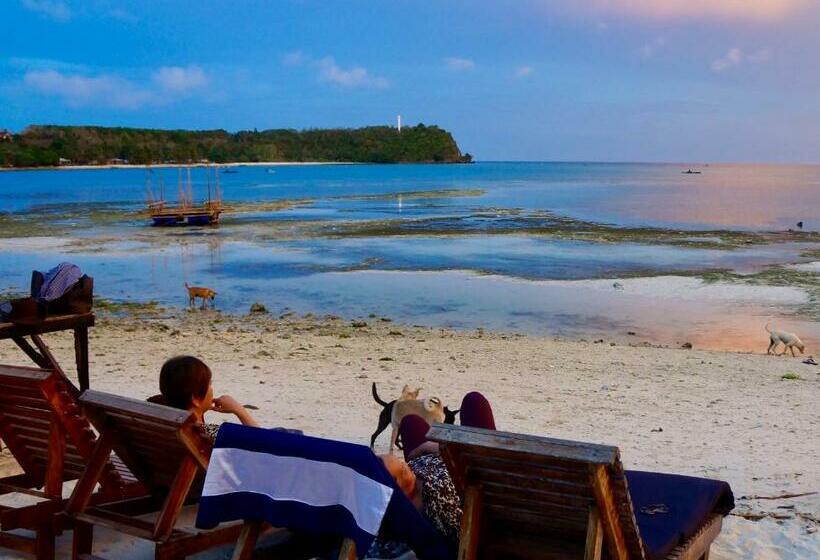 هاستل Sabas Beach And Campsite