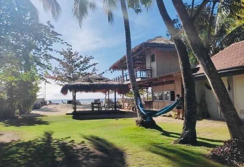 هاستل Sabas Beach And Campsite