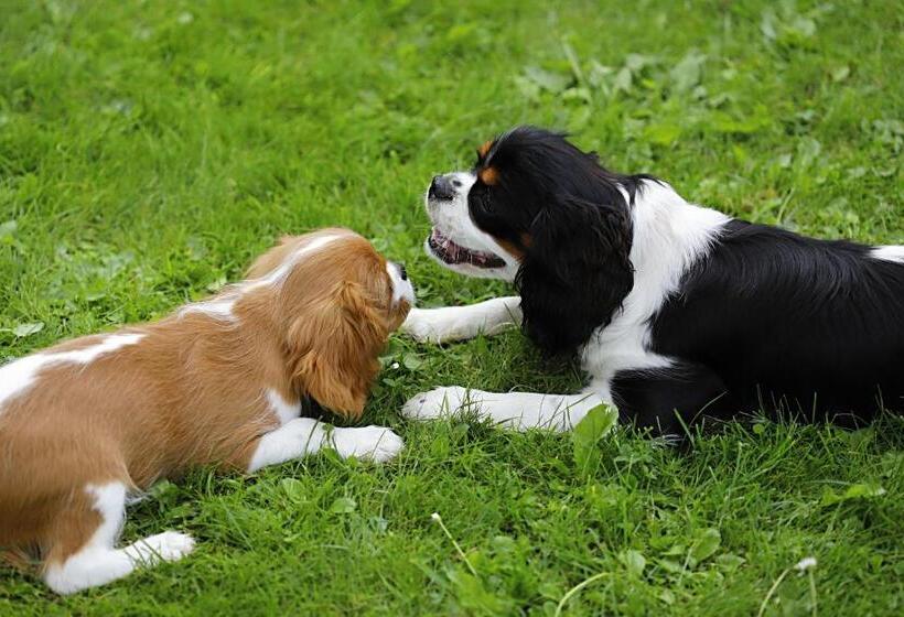 Apartmány Bramborka