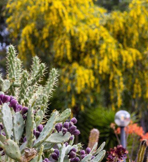 Bed and Breakfast Antica Villa Colonica