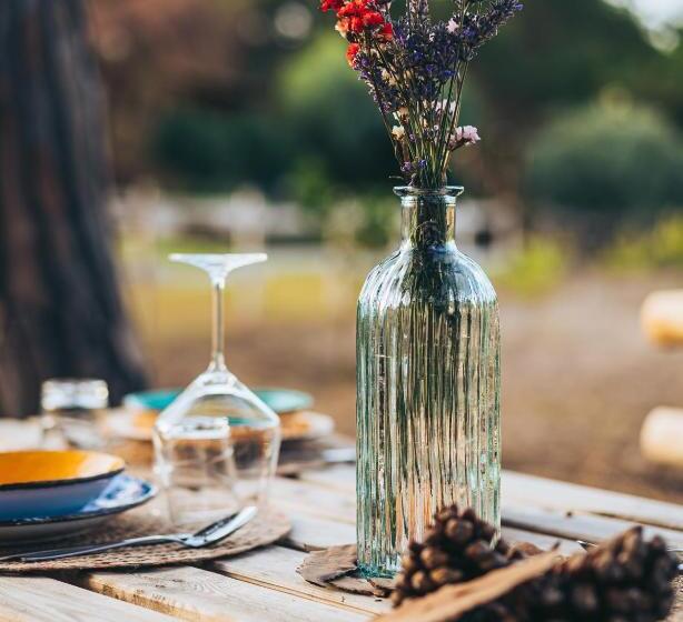 Bed and Breakfast Antica Villa Colonica