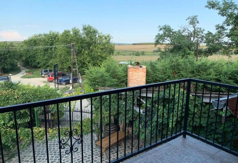 Bed and Breakfast Buzál Mórocza Pincészet és Szálláshely