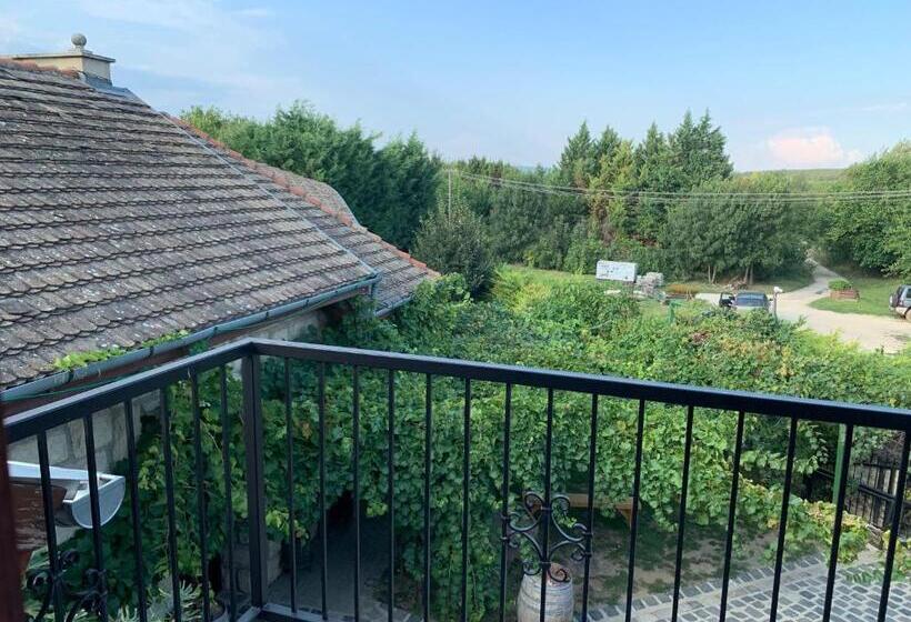 Bed and Breakfast Buzál Mórocza Pincészet és Szálláshely