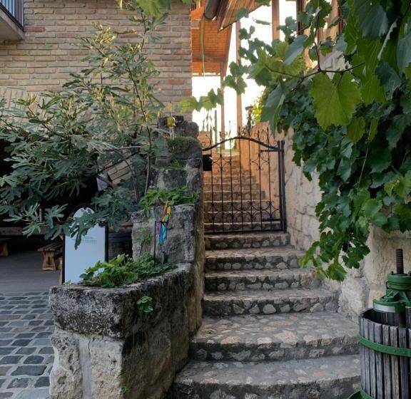 Bed and Breakfast Buzál Mórocza Pincészet és Szálláshely