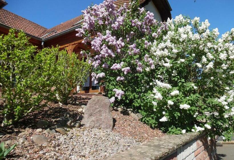 住宿加早餐  Le Charme De L Altenberg