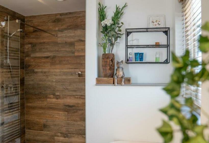 צימר De Anselier