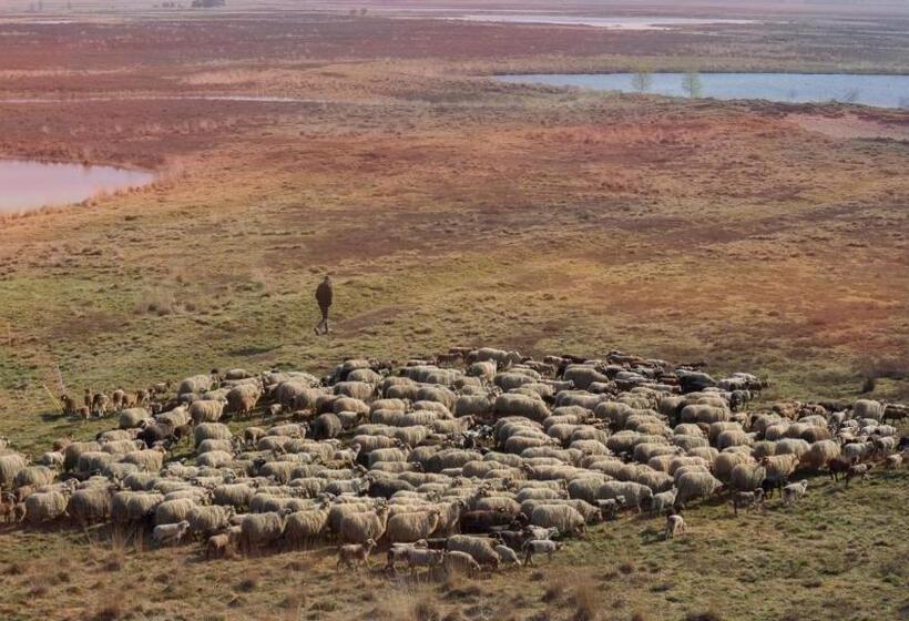 צימר De Anselier