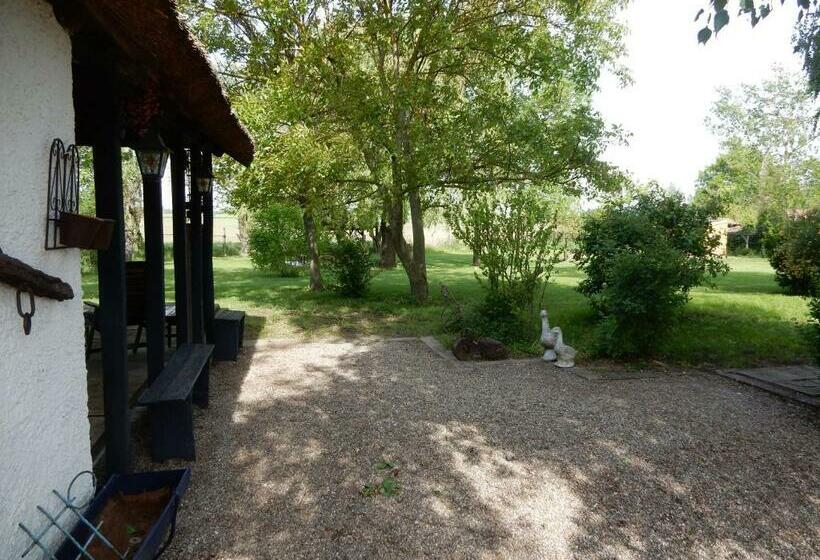 مبيت وإفطار Herberg Tisza