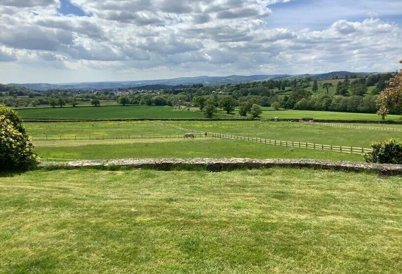 住宿加早餐  The Willows