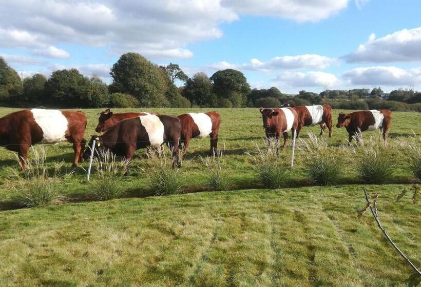 مبيت وإفطار Ti Gwennel