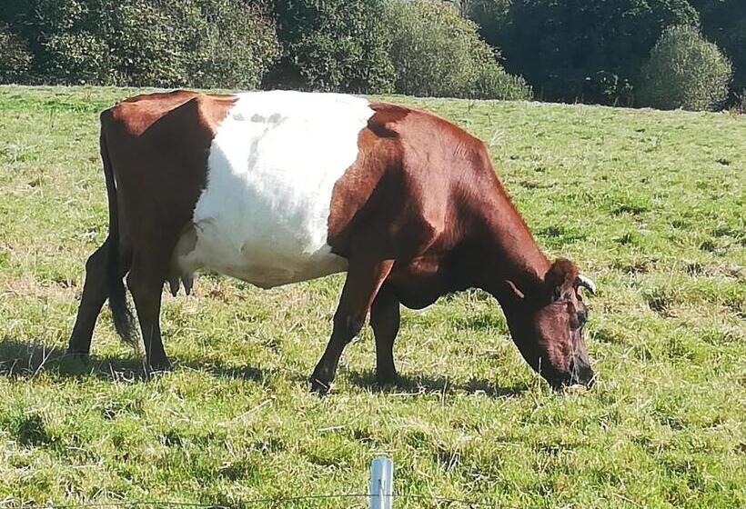 مبيت وإفطار Ti Gwennel