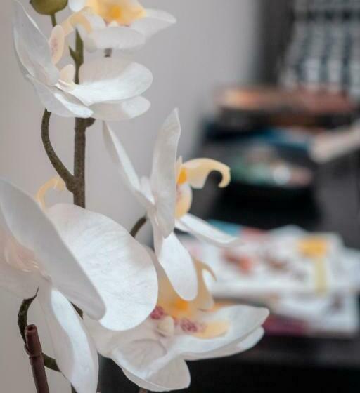 Civico 8 B&b Appartamento