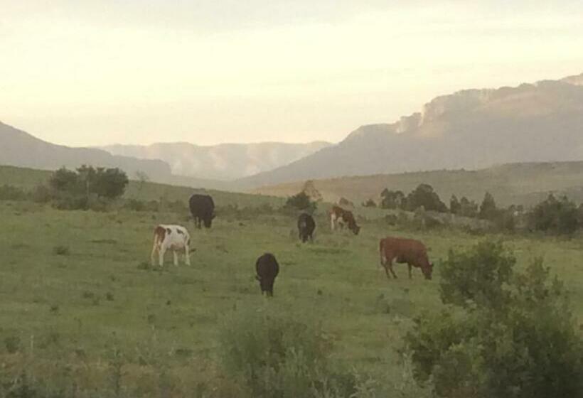 בית מלון כפרי Bare Necessities, Nudist Only Venue Naturist, Clothes Free