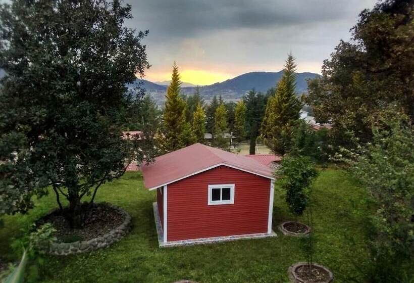 ホテル La Cabaña De Lola