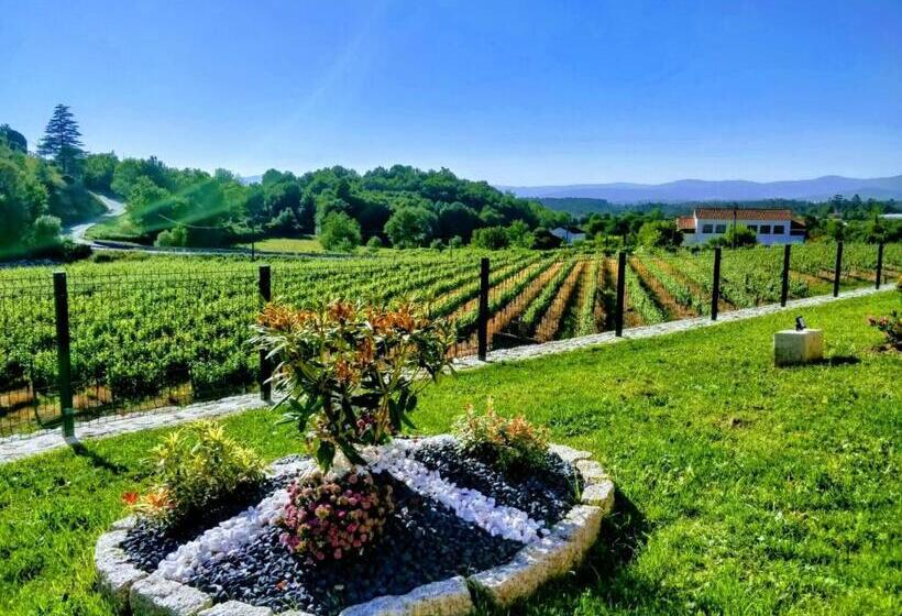 Отель Quinta De Real