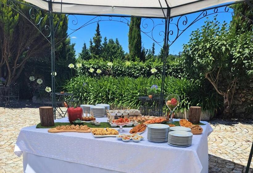 호텔 Solar De Almeidinha