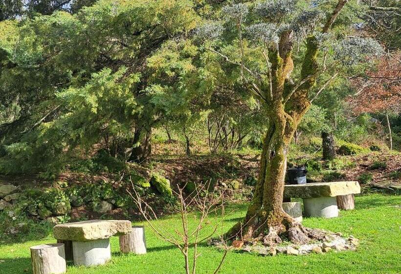 호텔 Solar De Almeidinha