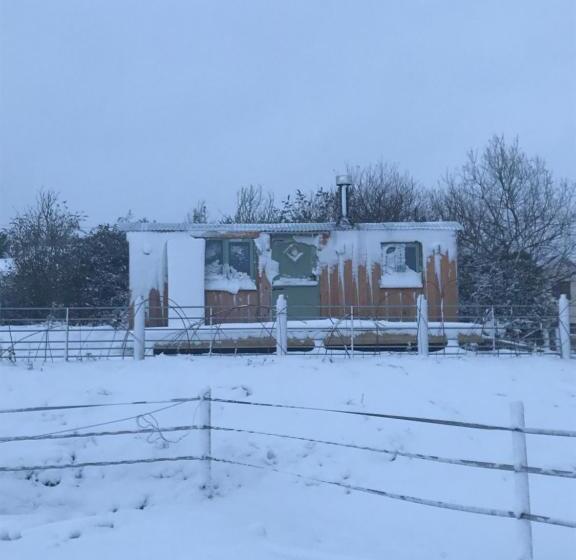 酒店 Willowbank Shepherds Hut